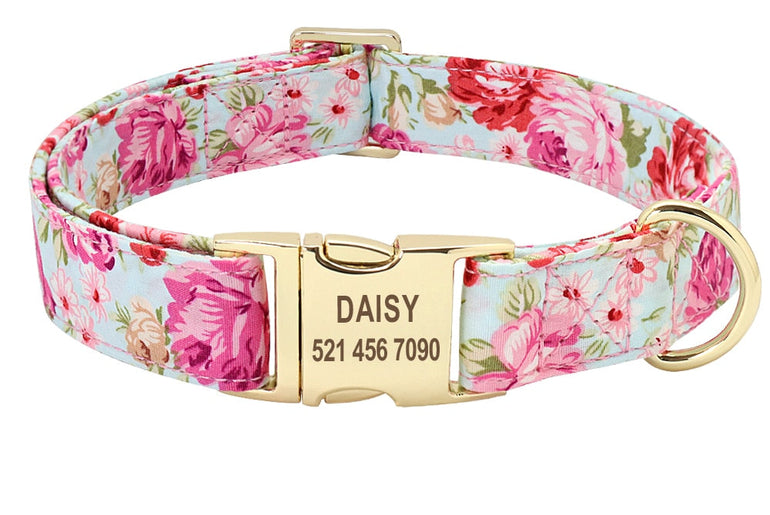 VACATION Collar, leash from Woof & BOOP