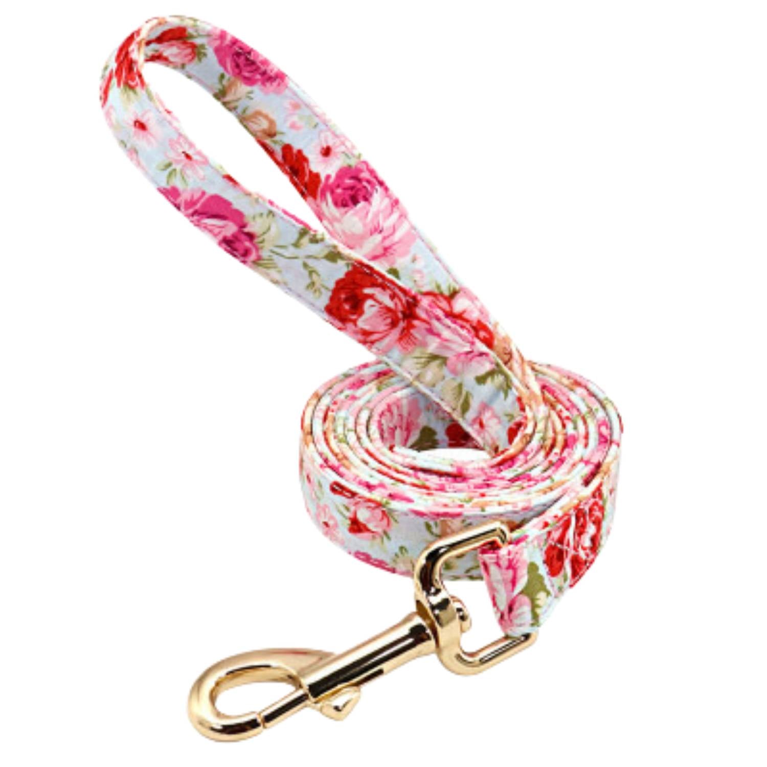 VACATION Collar, leash from Woof & BOOP